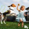 imageBV Dog Tie Out Cable 30 Feet  Heavy Duty Dog Lead Up to 125 Pounds  Reflective ampamp RustFree with Quick Release Swivel Clips ampamp 360 Rotating Clasp  TangleFree Dogs Runner for Yard Red Single35lbs 25ft Yellow